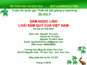 Sâm Ngọc Linh - Loài sâm quý của Việt Nam