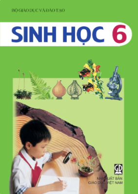 Sinh học 6 (NXB Giáo dục Việt Nam)