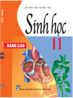 Sinh học 11 - Nâng cao (NXB Giáo dục Việt Nam)